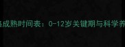 猫咪性格成熟时间表0-12岁关键期与科学养猫指南