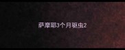 萨摩耶3个月驱虫
