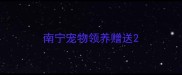 南宁宠物领养赠送