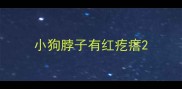 小狗脖子有红疙瘩