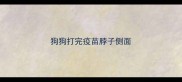 狗狗打完疫苗脖子侧面