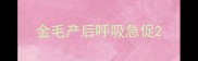 金毛产后呼吸急促