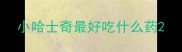 小哈士奇最好吃什么药