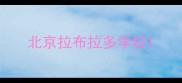 北京拉布拉多学校