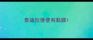 泰迪拉便便有黏膜