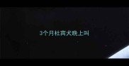 3个月杜宾犬晚上叫