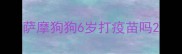 萨摩狗狗6岁打疫苗吗