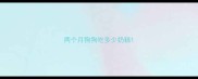 两个月狗狗吃多少奶糕