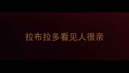 拉布拉多看见人很亲