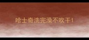 哈士奇洗完澡不吹干