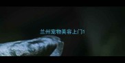 兰州宠物美容上门