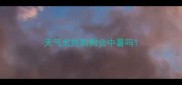 天气太热狗狗会中暑吗