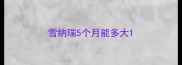 雪纳瑞5个月能多大