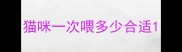 猫咪一次喂多少合适