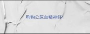 狗狗公尿血精神好