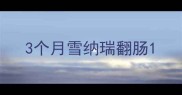 3个月雪纳瑞翻肠