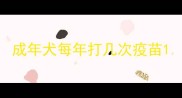 成年犬每年打几次疫苗