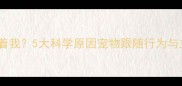 狗狗总黏人跟着我5大科学原因宠物跟随行为与主人情感联结