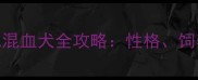 拉布拉多金毛混血犬全攻略性格饲养与培育指南