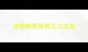 宠物狗要接种几次疫苗