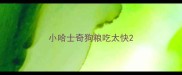 小哈士奇狗粮吃太快