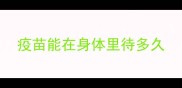 疫苗能在身体里待多久