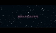 狗狗拉布拉多好养吗