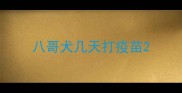 八哥犬几天打疫苗