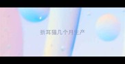 折耳猫几个月生产