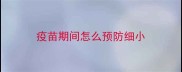 疫苗期间怎么预防细小