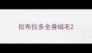 拉布拉多全身绒毛