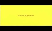 好养活又便宜的宠物