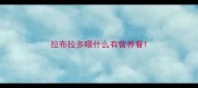 拉布拉多喂什么有营养餐