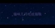 猫咪几月吃成猫粮