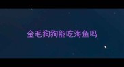 金毛狗狗能吃海鱼吗