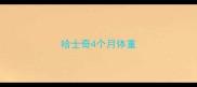 哈士奇4个月体重