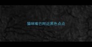 猫咪嘴巴附近黑色点点