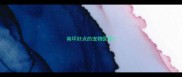 南坪好点的宠物医院