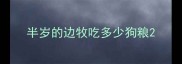 半岁的边牧吃多少狗粮