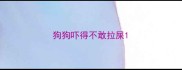 狗狗吓得不敢拉屎