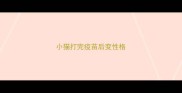小猫打完疫苗后变性格