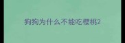 狗狗为什么不能吃樱桃