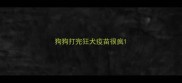 狗狗打完狂犬疫苗很疯