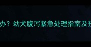 两个月大哈士奇拉稀怎么办幼犬腹泻紧急处理指南及预防措施附护理清单