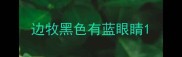 边牧黑色有蓝眼睛