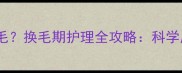 金毛犬一年掉多少毛换毛期护理全攻略科学应对毛量激增困扰