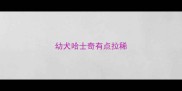 幼犬哈士奇有点拉稀