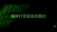 猫咪打完疫苗后呕吐