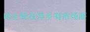 哈士奇在萍乡有市场麽