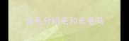 金毛分短毛和长毛吗